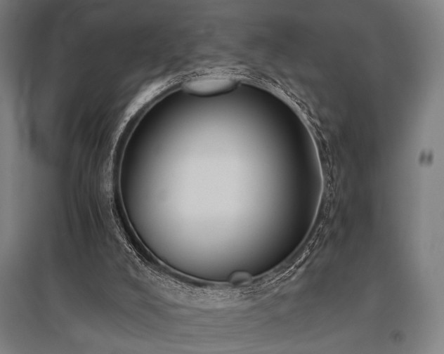 X0000096180008200801181322