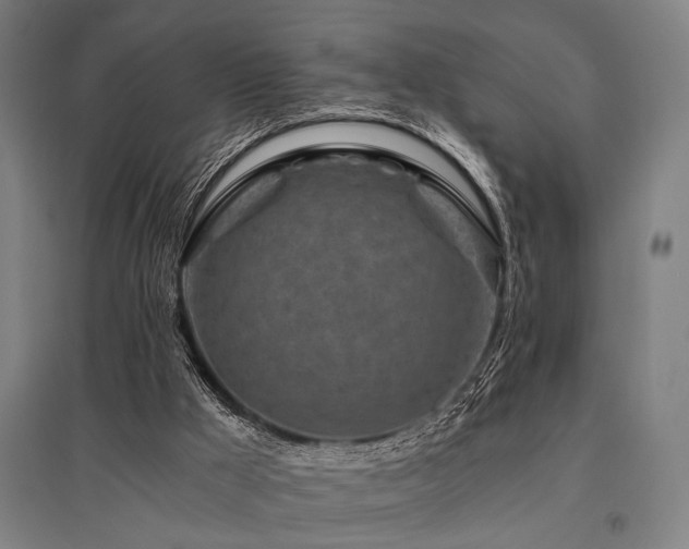X0000096180009200801181322