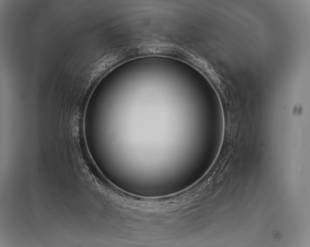 X0000096180010200801181322