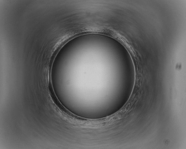 X0000096180011200801181322