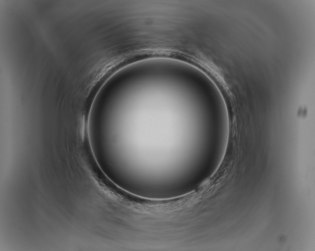 X0000096180013200801181322