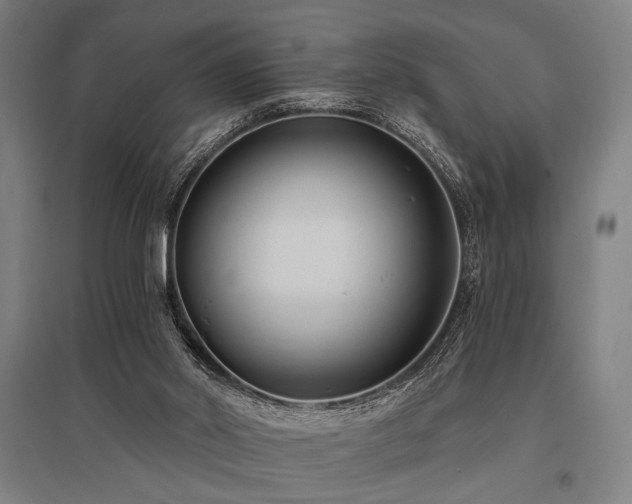 X0000096180014200801181322