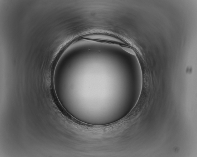 X0000096180015200801181322
