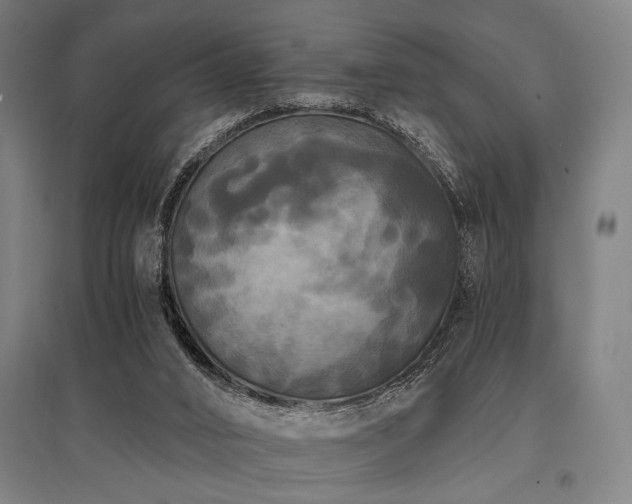 X0000096180016200801181322