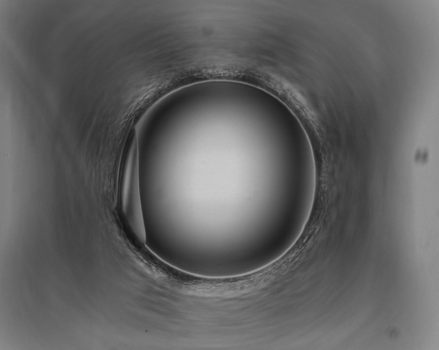 X0000096180017200801181322