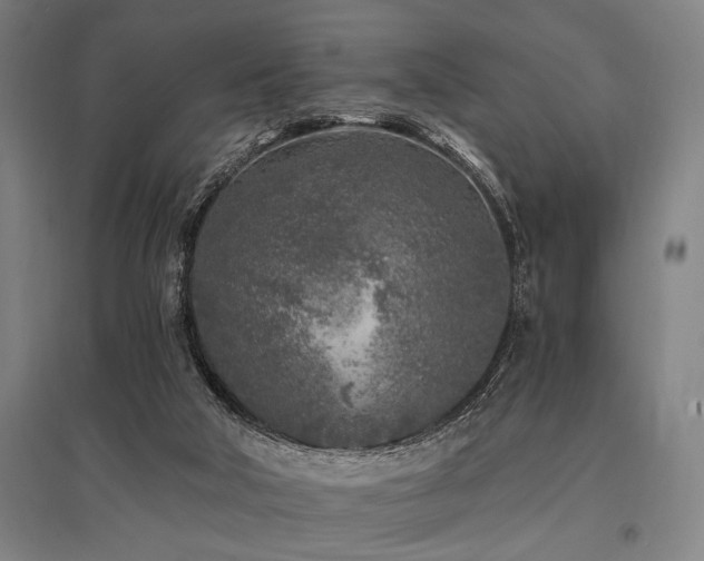 X0000096180018200801181322