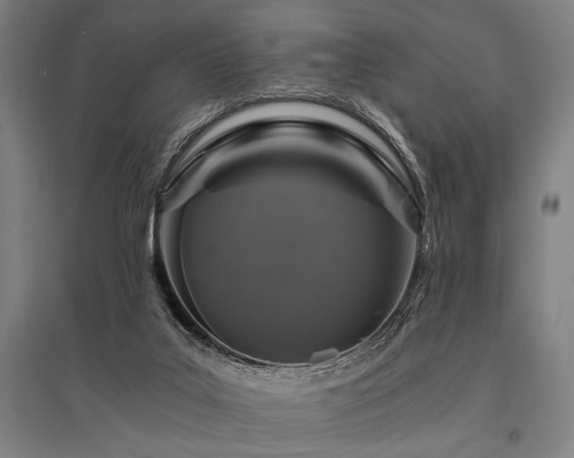X0000096180019200801181322