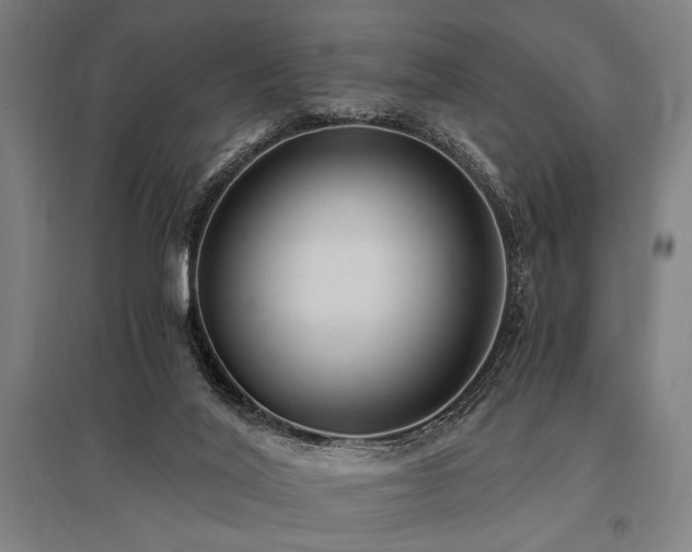 X0000096180020200801181322