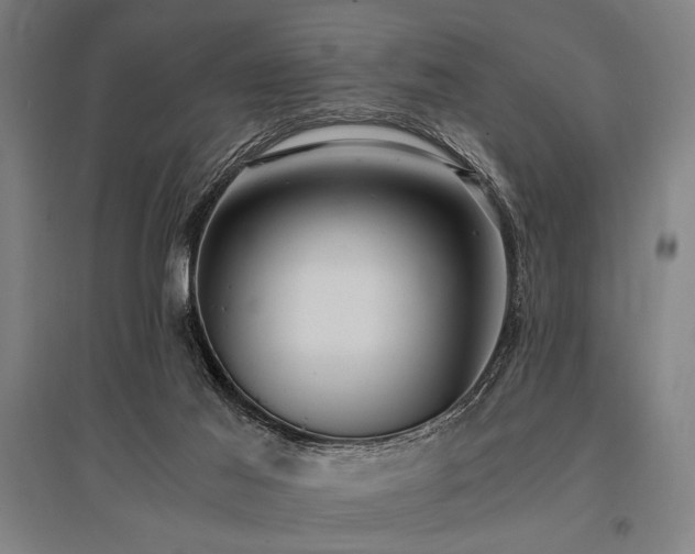 X0000096180021200801181322