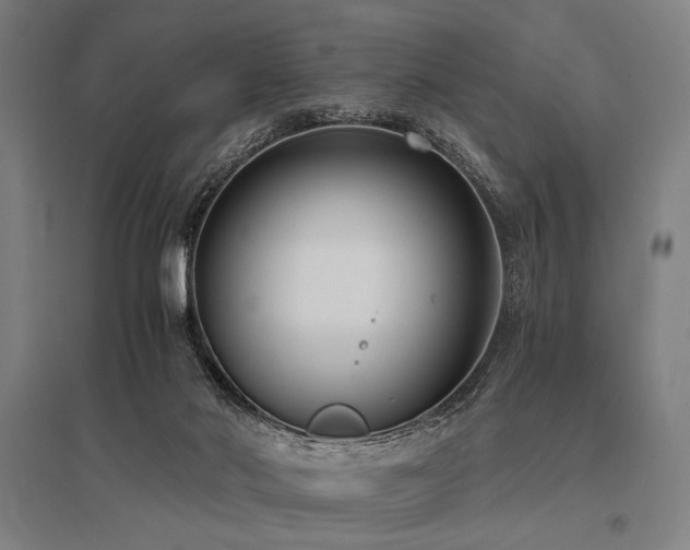 X0000096180022200801181322