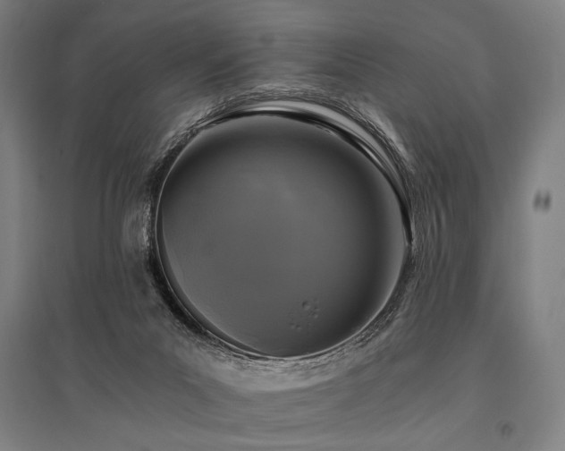 X0000096180023200801181322