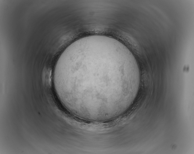 X0000096180024200801181322