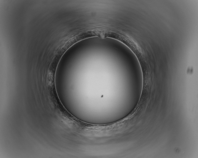 X0000096180025200801181322