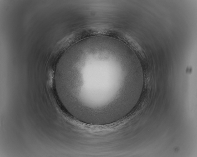 X0000096180026200801181322