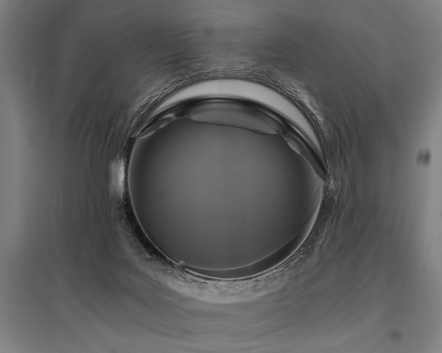 X0000096180027200801181322