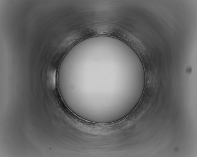 X0000096180028200801181322