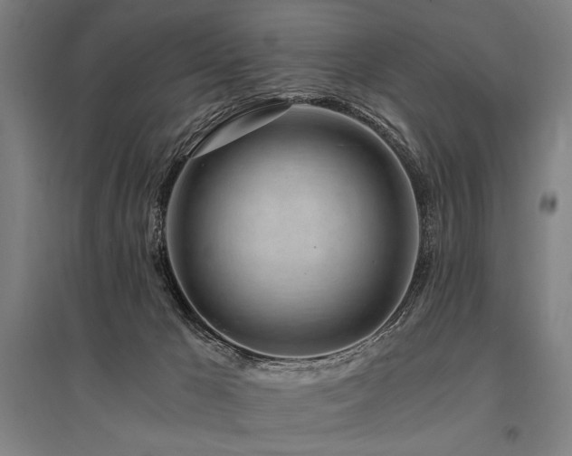 X0000096180029200801181322