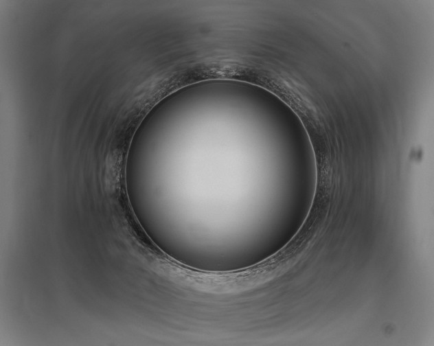 X0000096180030200801181322