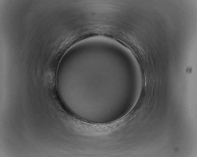 X0000096180031200801181322