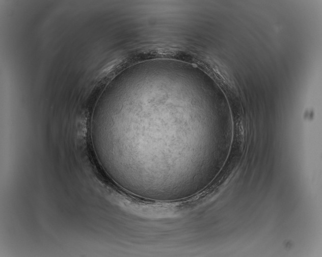 X0000096180032200801181322