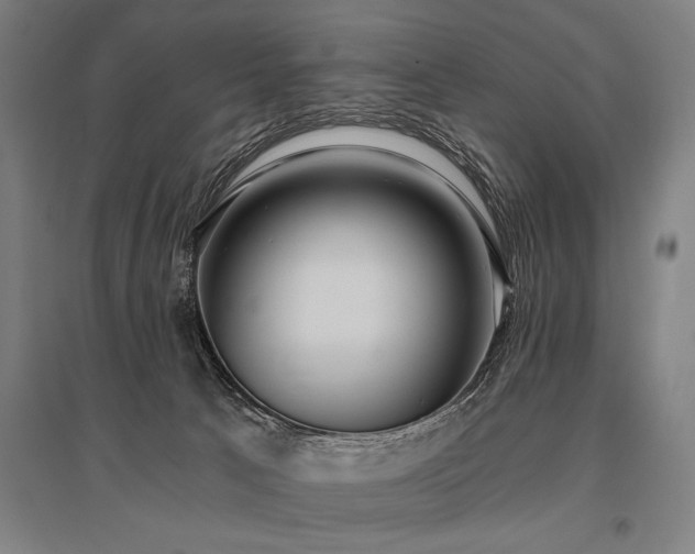 X0000096180033200801181322