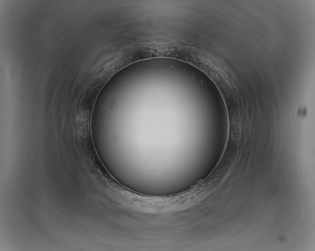 X0000096180034200801181322