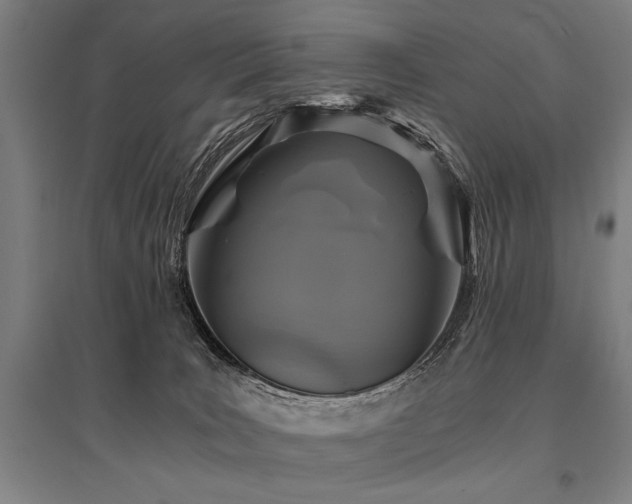 X0000096180035200801181322