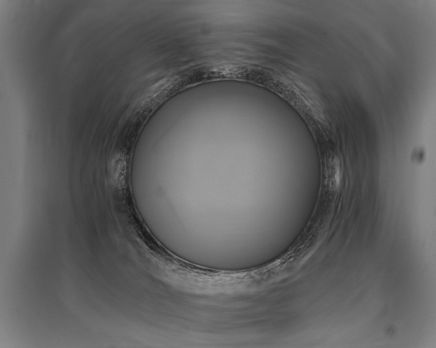 X0000096180036200801181322