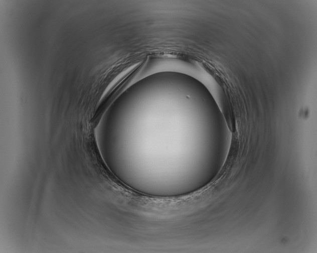 X0000096180037200801181322