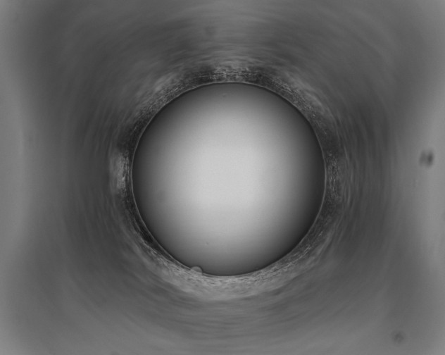 X0000096180038200801181322