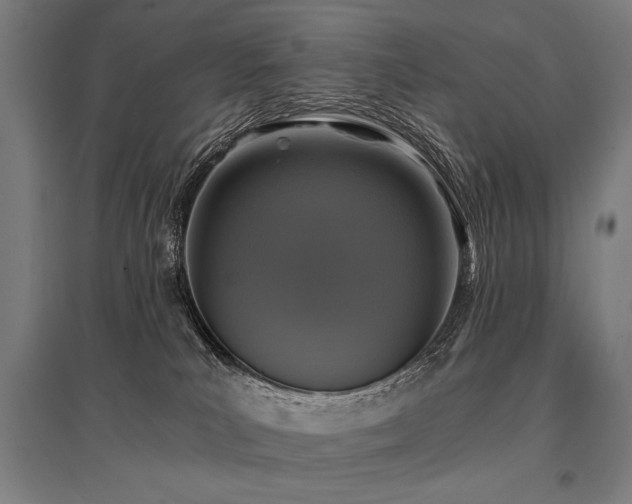 X0000096180039200801181322