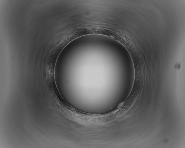 X0000096180040200801181322