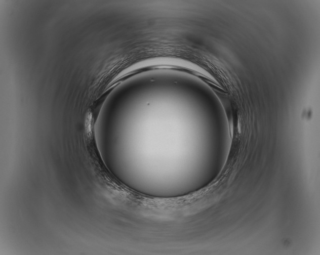 X0000096180041200801181322