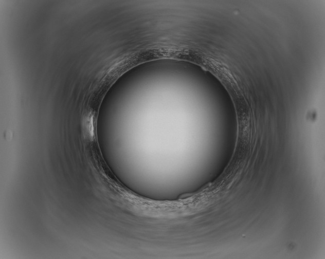 X0000096180042200801181322