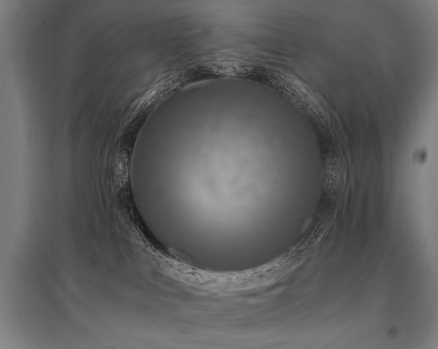 X0000096180043200801181322