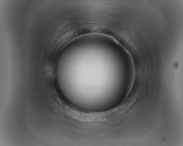 X0000096180044200801181322