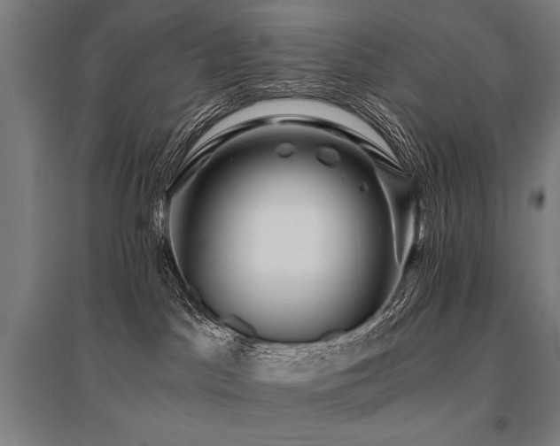 X0000096180045200801181322