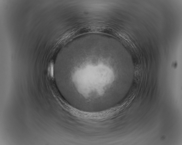 X0000096180046200801181322