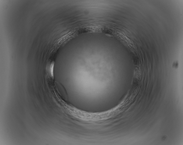 X0000096180047200801181322