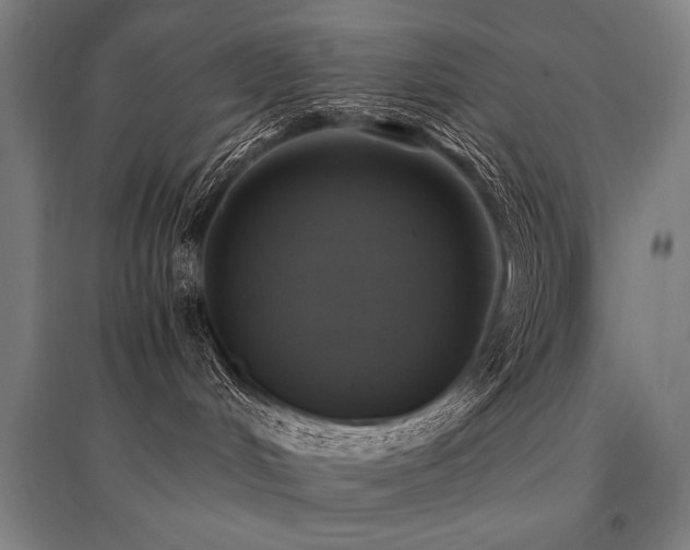 X0000096180048200801181322