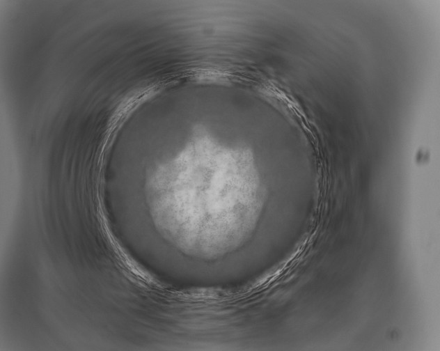 X0000096180049200801181321