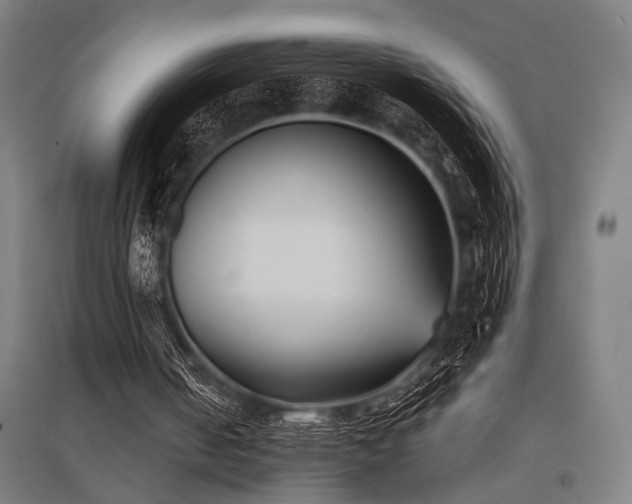 X0000096180050200801181321