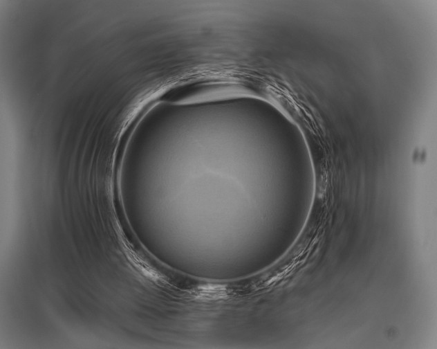 X0000096180052200801181321