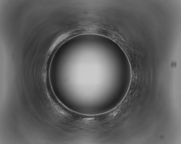 X0000096180054200801181321