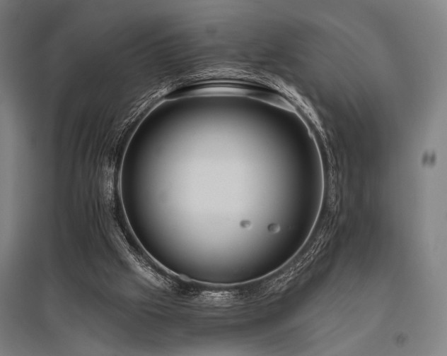 X0000096180057200801181321