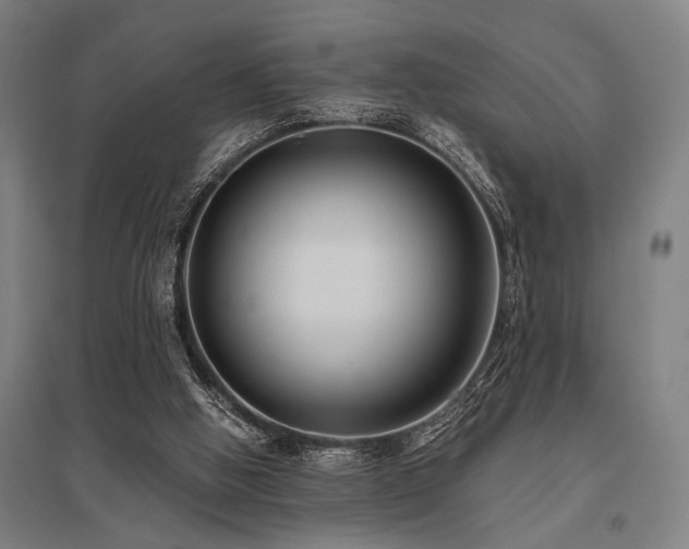 X0000096180058200801181321
