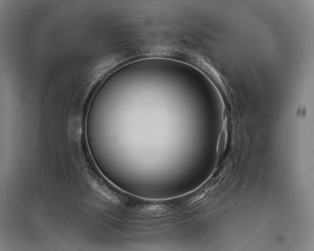 X0000096180059200801181321