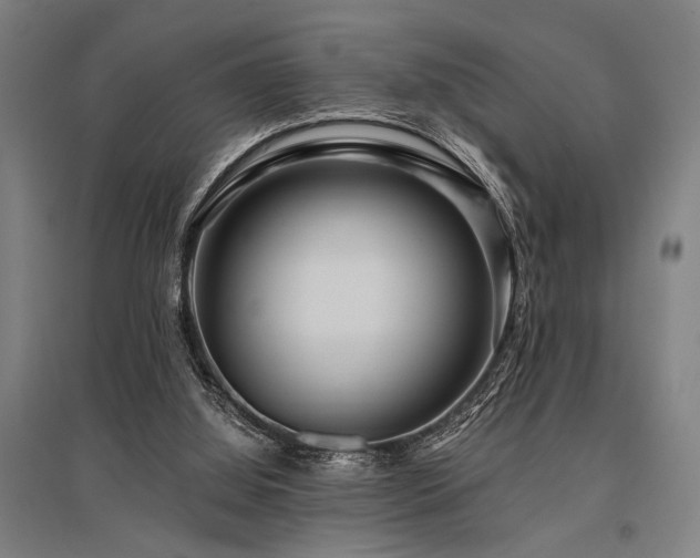 X0000096180060200801181321
