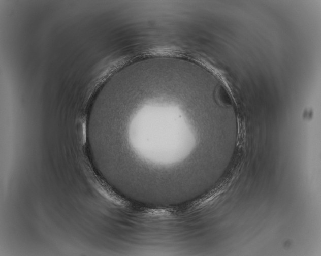 X0000096180061200801181321
