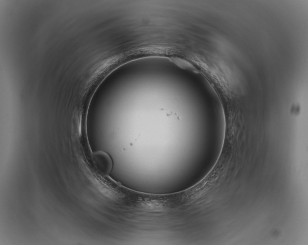 X0000096180062200801181321